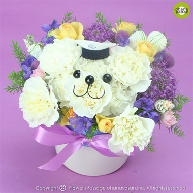 �n�i�N�}�}�����E�p�[�v��