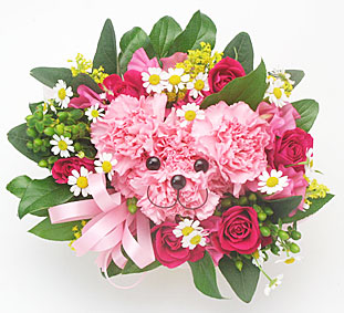 �N�}�����A�����W