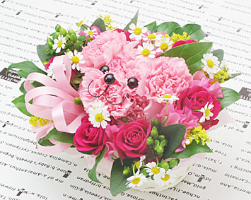 ハナクマ／フラワーギフト専門店のお花屋さん