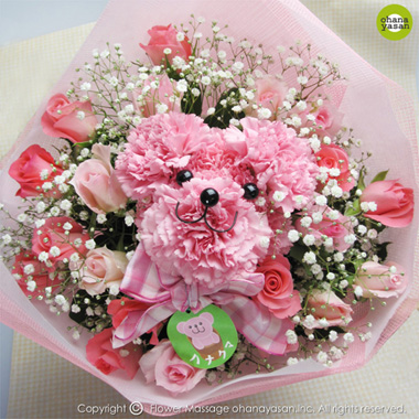 �o�[�W�����[�Y�E�n�i�N�}